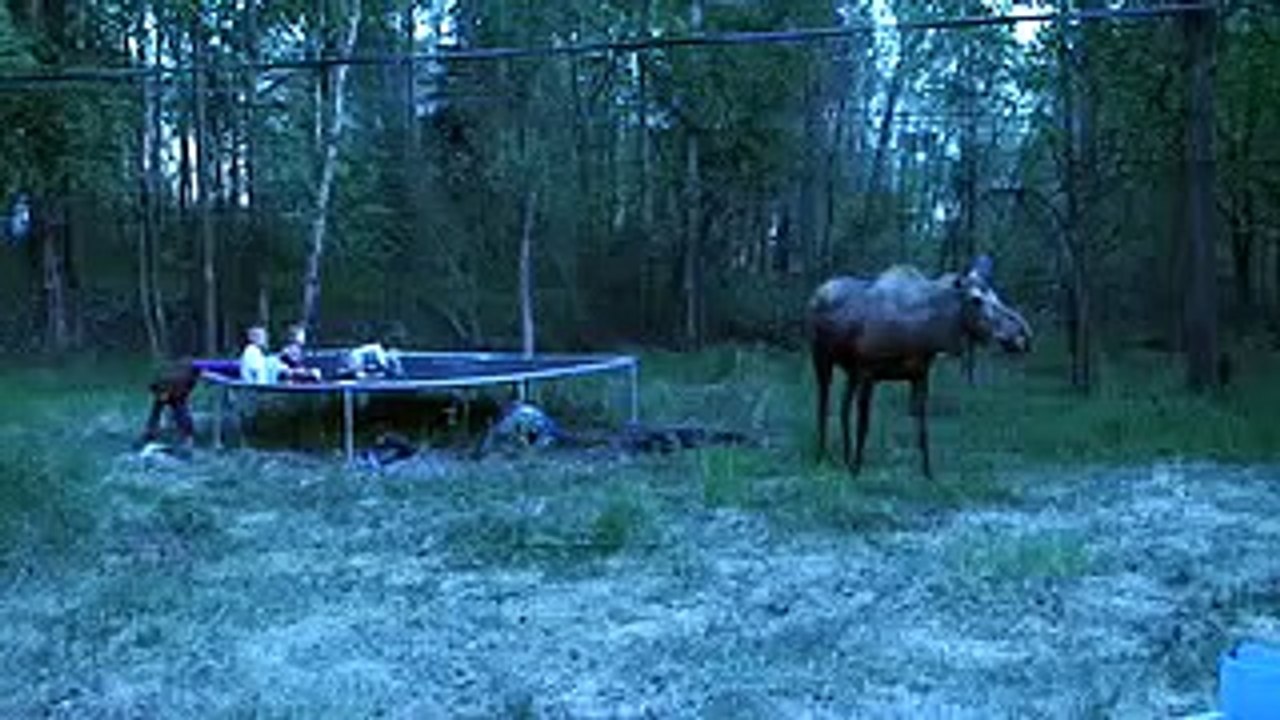Ces enfants sautent sur leur trampoline lorsque CECI approche... Oh mon dieu.