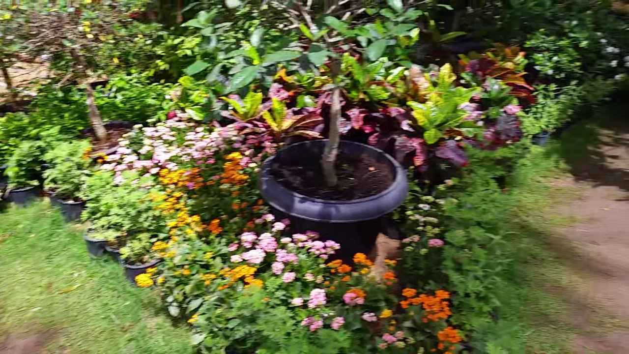 Sham Ennesim - Orman garden 2016-5-2 (1-2) 1080p59.94