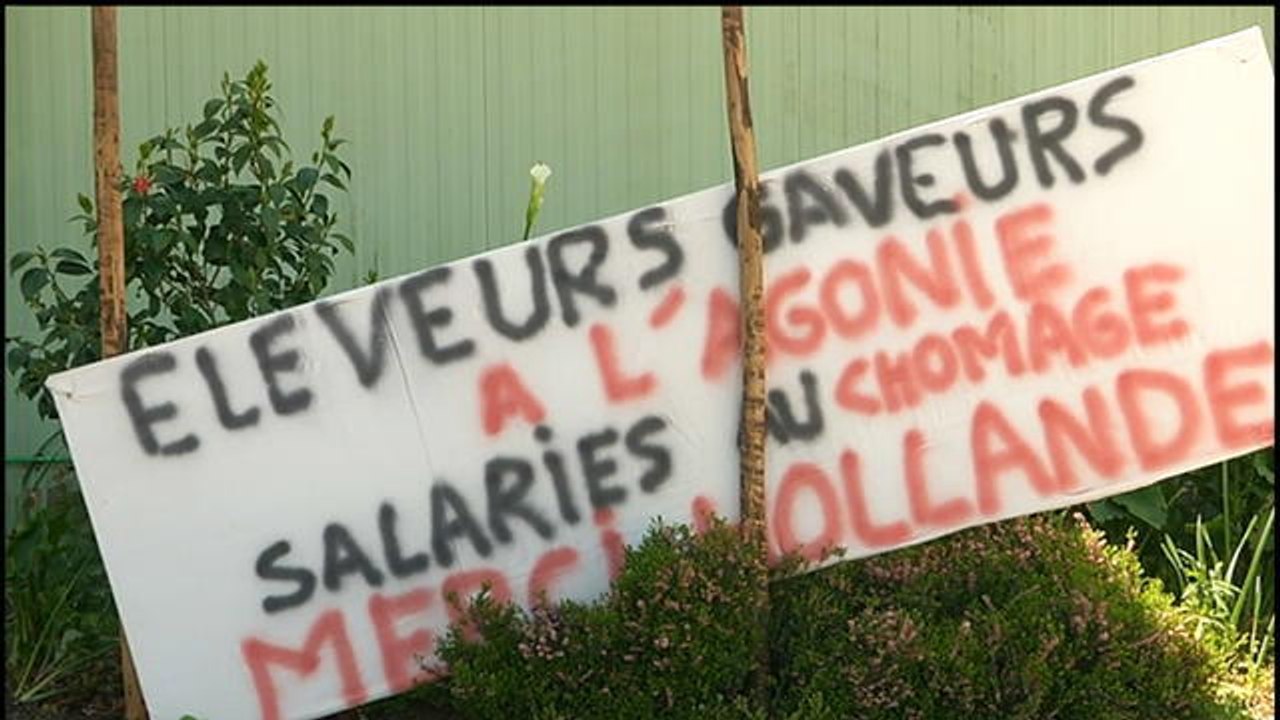 Grippe aviaire : les élevages du Sud-Ouest vont repartir de zéro - Le 03/05/2016 à 07h00