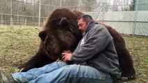 Bear loves his caregiver after being rescued