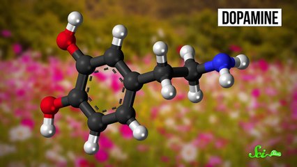 10 Surprising Chemicals Your Body Makes