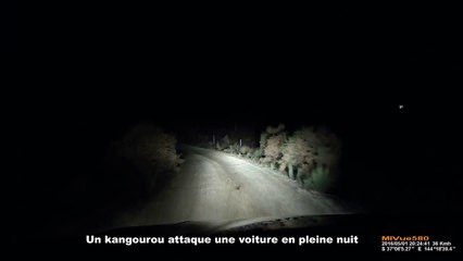 Un kangourou attaque une voiture en pleine nuit