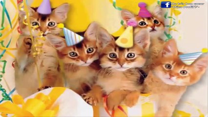 Ces quelques boules d'amour poilus te souhaitent avec moi un très joyeux anniversaire ma chérie.