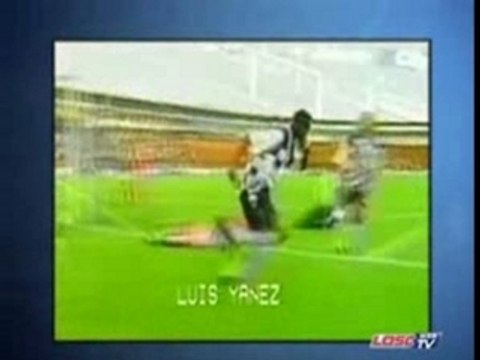 Luis Yanes Padilla : futur star du LOSC