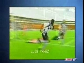 Luis Yanes Padilla : futur star du LOSC