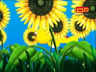 Serçe - Arapça Çocuk Şarkısı (taha tv)