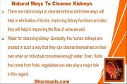 Best Natural Ways To Cleanse Kidneys To Improve Its Functioning