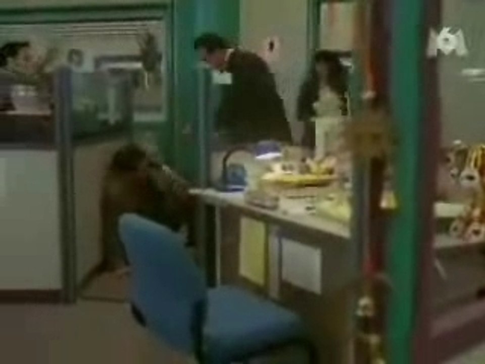 Charmed Phoebe ds ma sorcière mal aimée