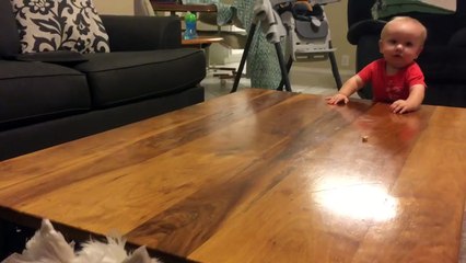 Qui aura le dernier morceau de poulet, le bébé ou le chien ?