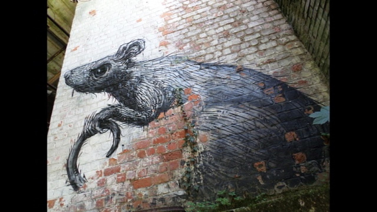Roa Mai 2016