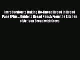 [Read Book] Introduction to Baking No-Knead Bread in Bread Pans (Plus... Guide to Bread Pans):