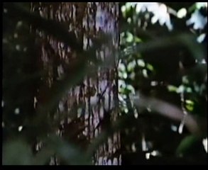 Robowar - Robot da guerra (1989) - VHSRip - Rychlodabing