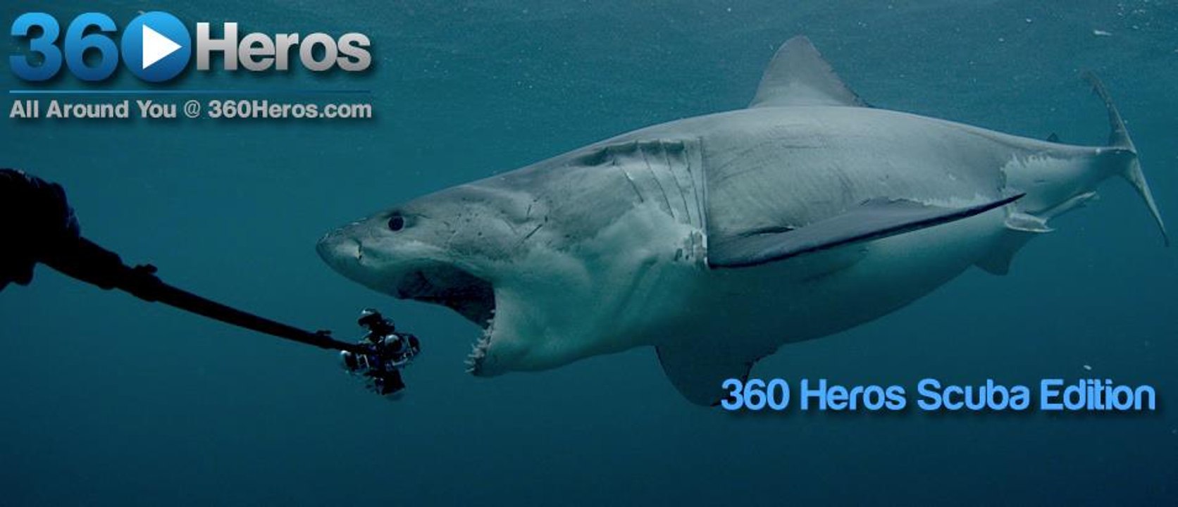 Shark Tank Hungry Shark World Great White Sharks 360 Degree Video 4K Close encounter Amazing Virtual Dive 2016