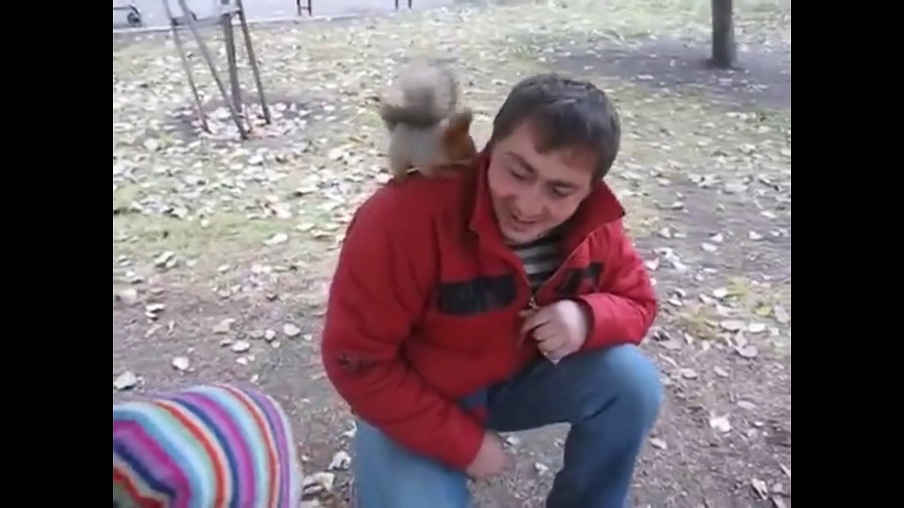 Cet écureuil a trouvé la planque parfaite pour ses noisettes!