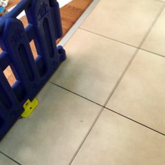 Mobile Capture 3 May 2016