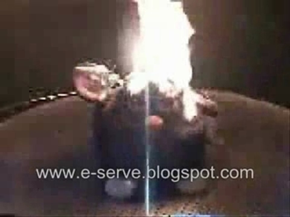 Furby Fried