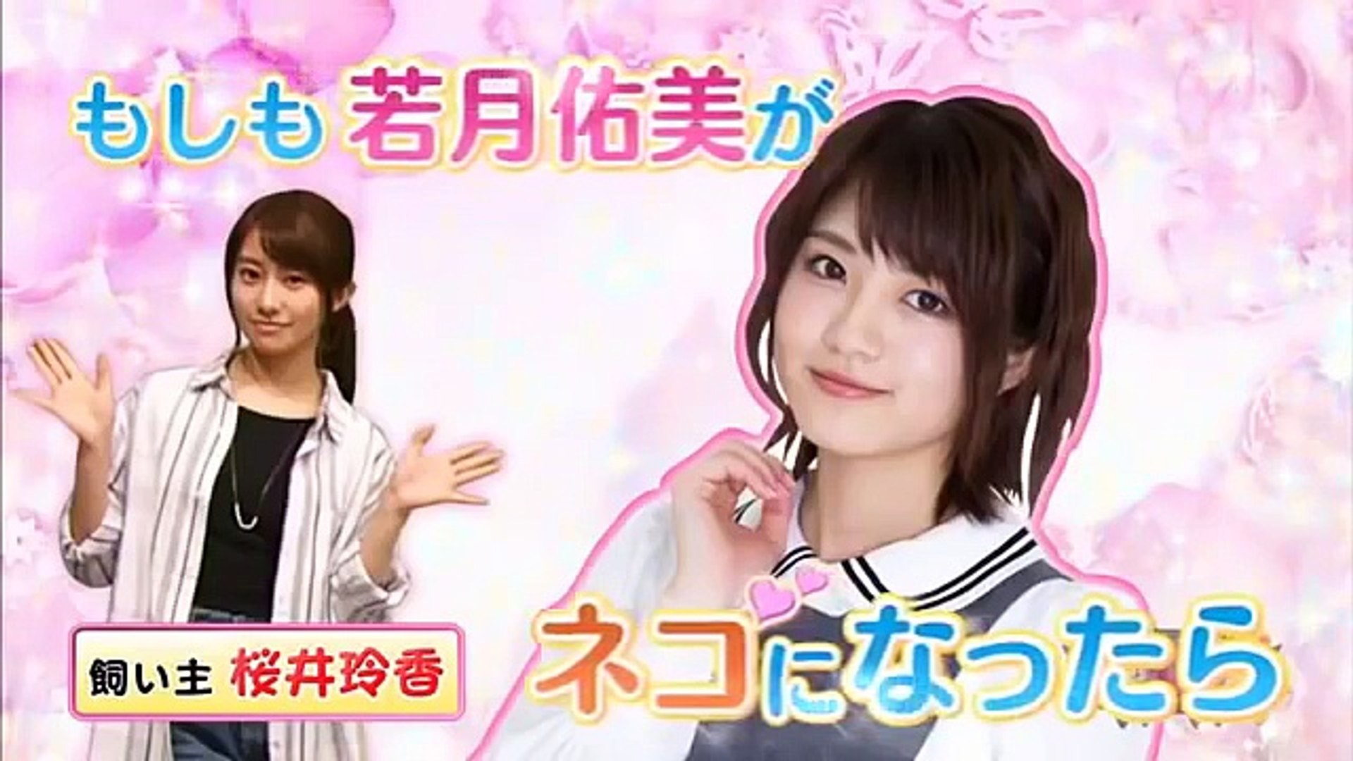 もしも若月佑美がネコになったら 動画 Dailymotion