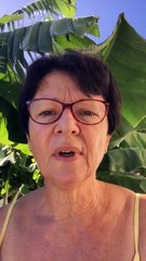 Dengue : une centaine de cas au sud de La Réunion depuis 2016 - LTOM