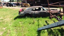 WOW! More Oregon Barnfinds @ a junkyard 60s Mustang, camaros, chevelles