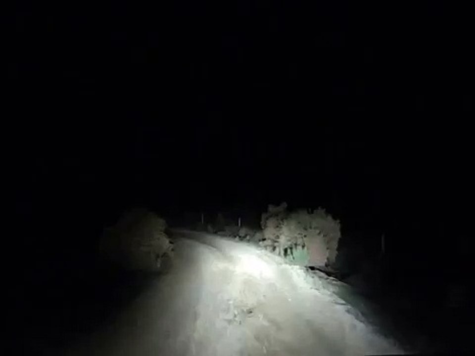 Kangaroo Attacks Car
