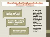 How to Train a Dog Using Doged shock collars