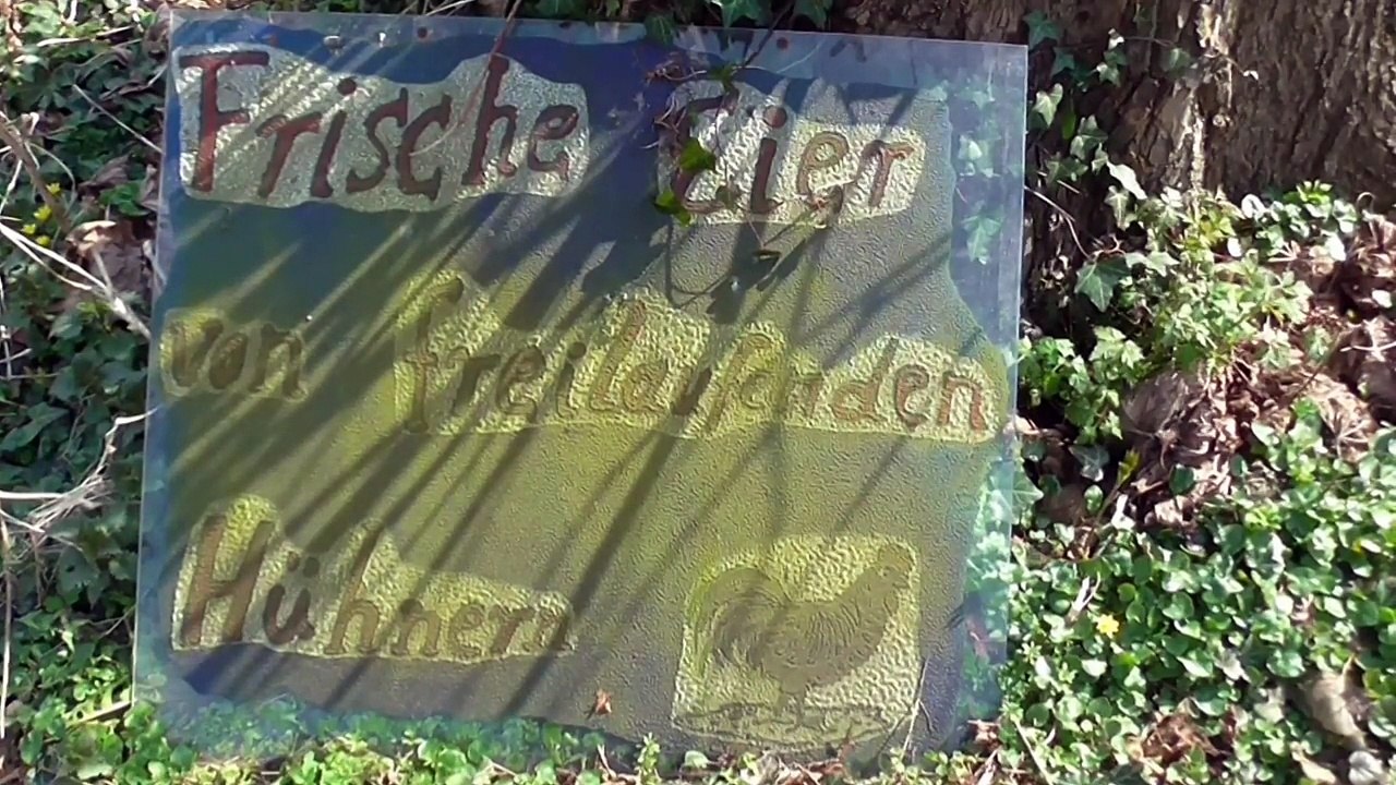 Lost Places - Haus Caen - bei Straelen am Niederrhein