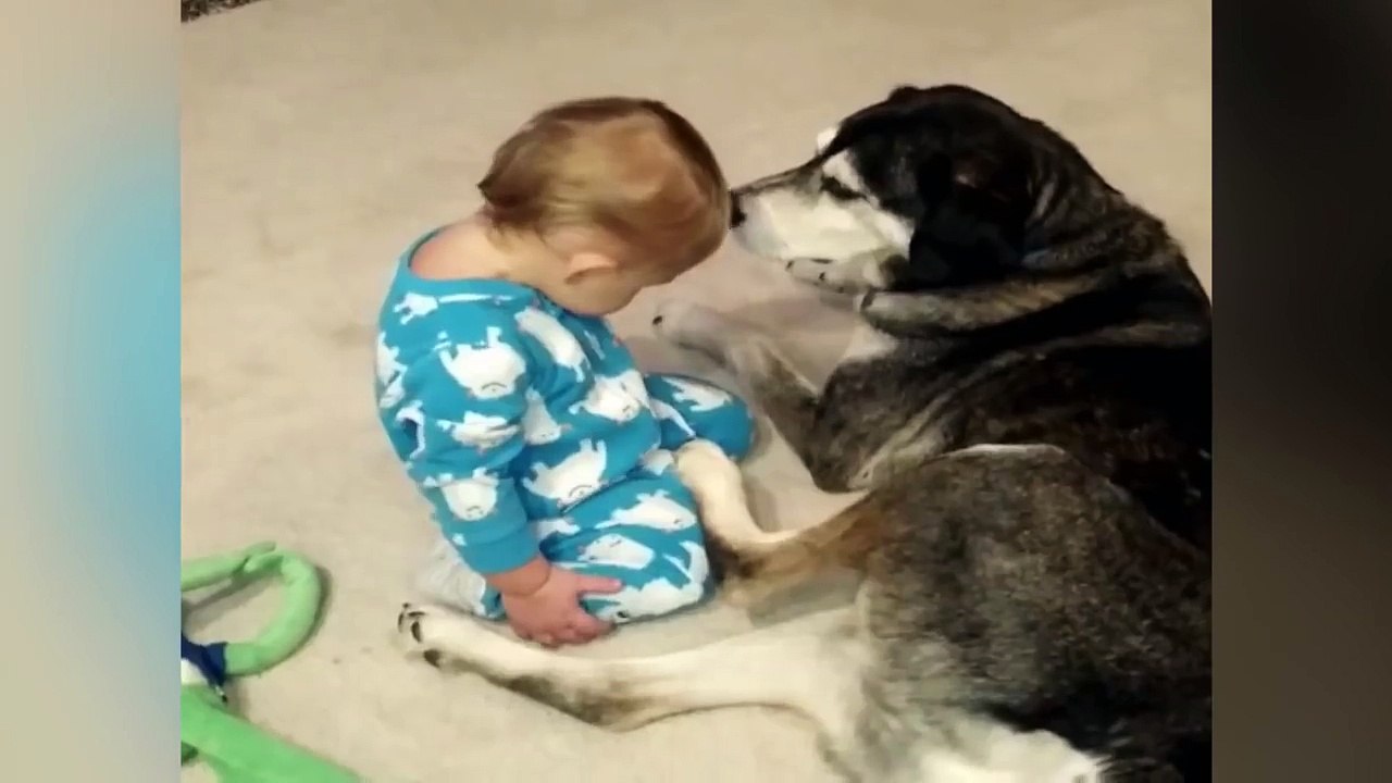 Ce bébé qui somnole est à croquer, regardez ce qui se passe à la fin