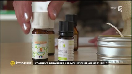 Comment repousser les moustiques au naturel ?
