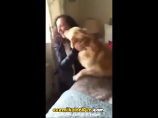 7 Ay Sonra Eve Gelip Saklanan Sahibinin Kokusunu Alan Köpek