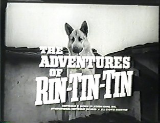 The Adventures of Rin Tin Tin @ 50 Rin Tin Tin and the Christmas Story