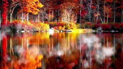 Đời Tôi Chỉ Yêu Một Người - Duy Khánh