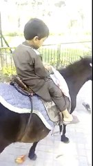 Funny Video - Child Vidoes - Tubeinto.com