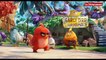 Angry Birds - Bande annonce