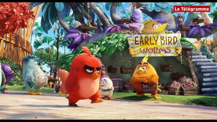 Angry Birds - Bande annonce