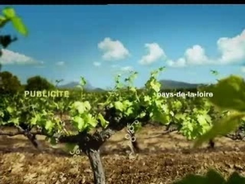 JT Régional FR3 19|20 du 22-06-07 : HELLFEST (Clisson)