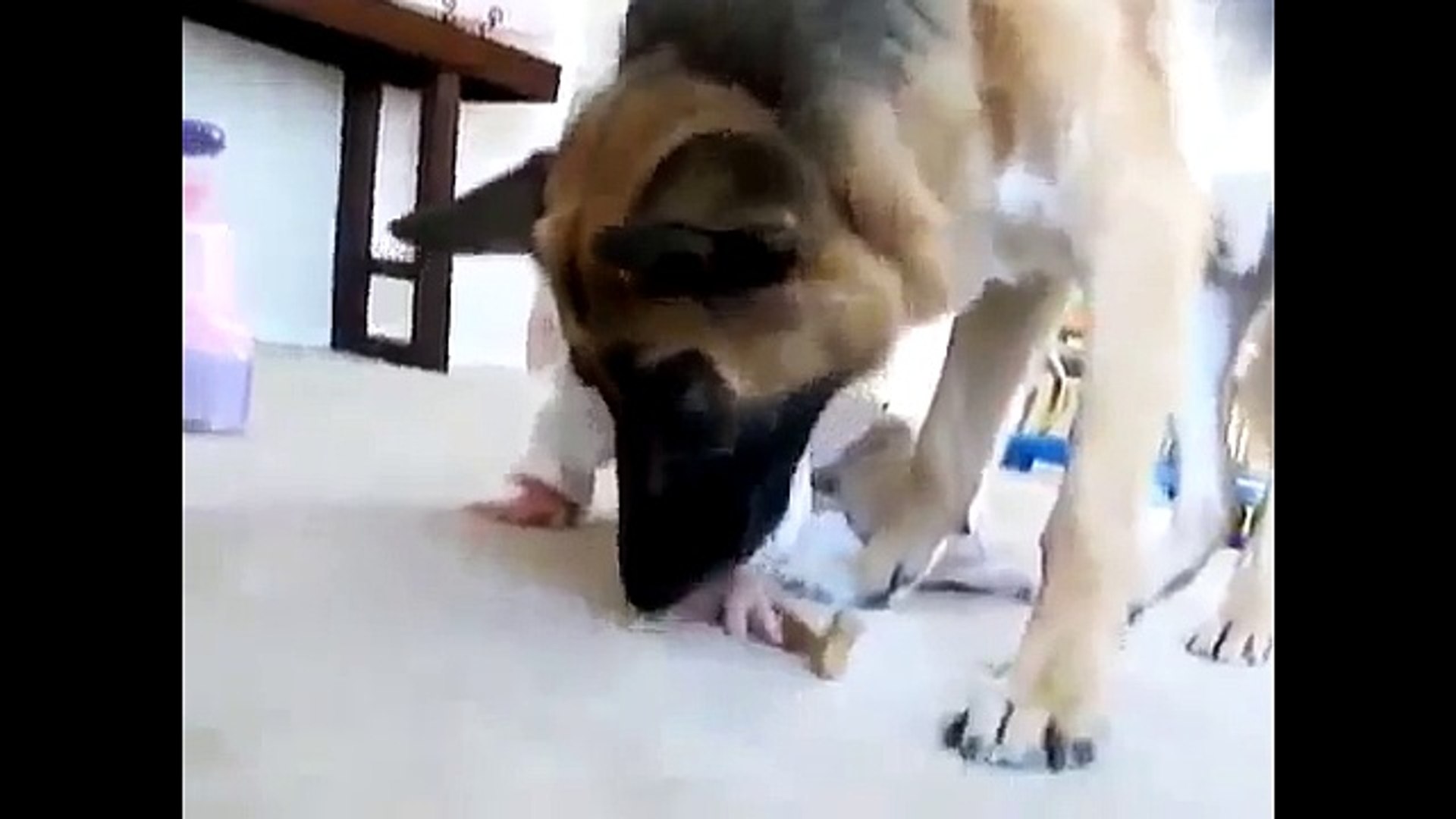 А мы Дружим! Животные и Детки