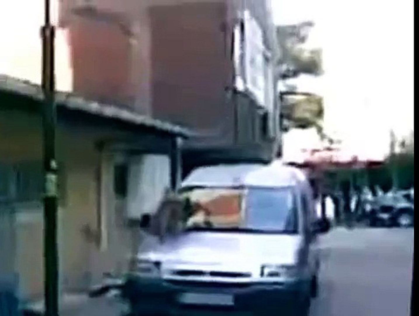 Брачные игры кошек, груповуха