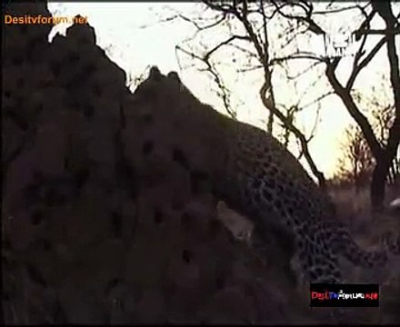 Animal Planet Safari 6th October 2014 Video Watch Online pt3