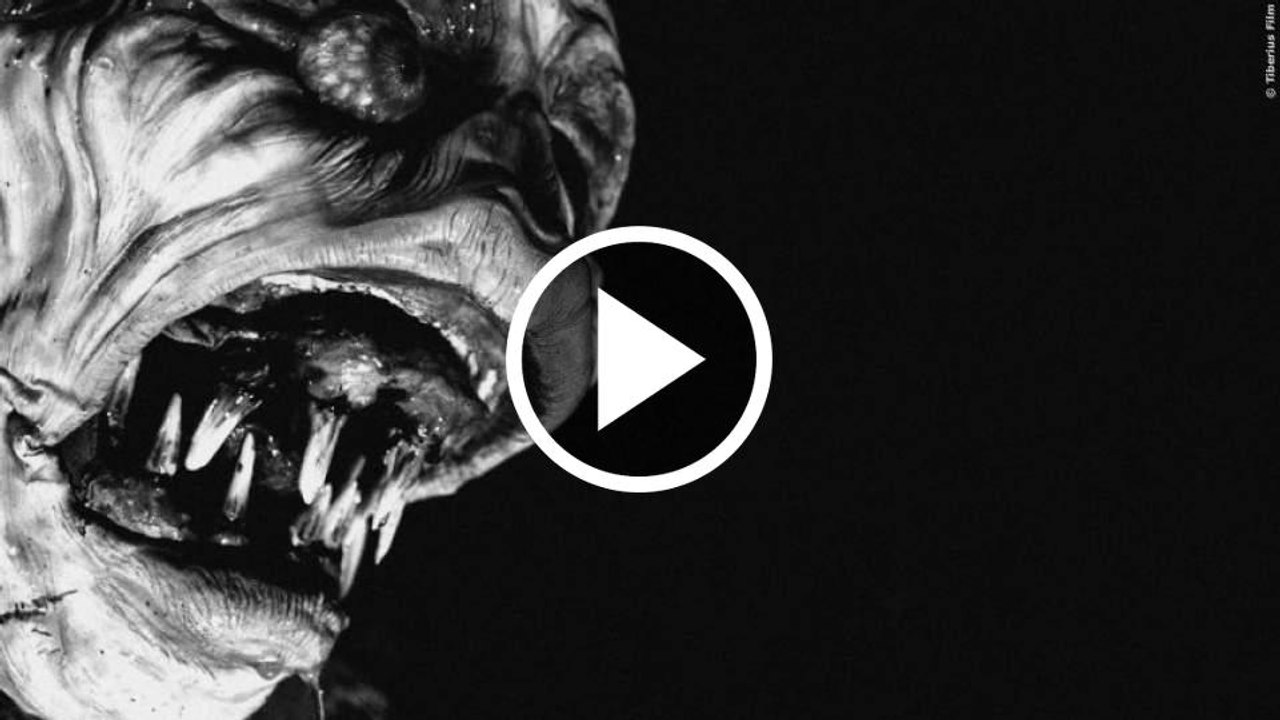 HOW TO CATCH A MONSTER - DIE MONSTERJÄGER Trailer German Deutsch (2016)