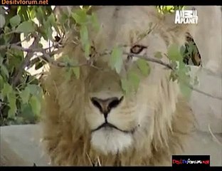Mad Mike And Mark 3rd October 2014 Video Watch Online pt3