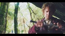 The Lord of the Rings -Amazing Story
