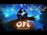 Ori And The Blind Forest - Végigjátszás - 34.Rész [Magyar]