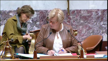 Paul Giacobbi évoque les nuisances sonores de la BA 126  à l'Assemblée nationale