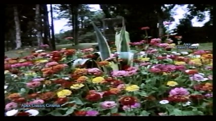 NADAANI (1983) - Abhi Na Dekho Itne Pyar Se -- (Pakistani film song)