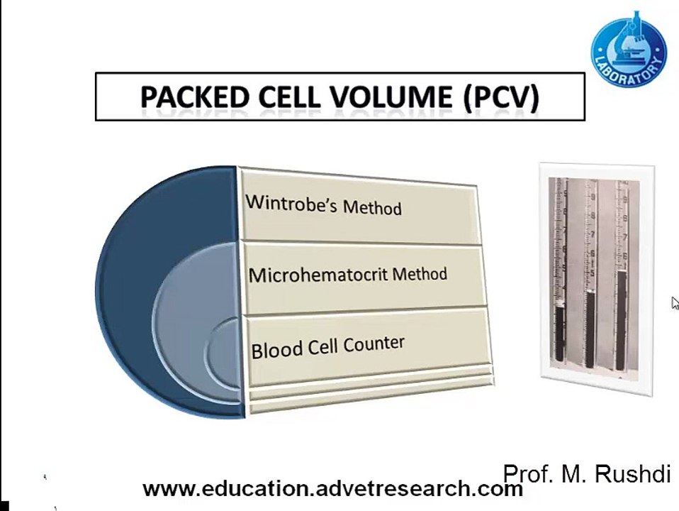 Evaluation of red blood cells