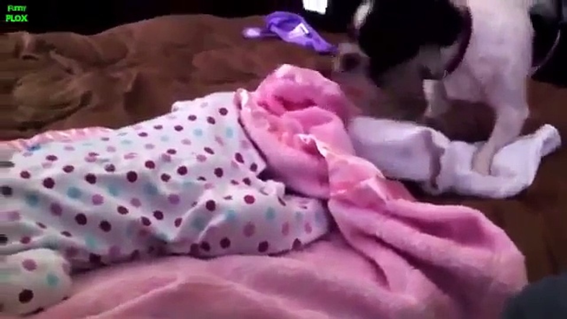 ⁣Дети и животные Лучшие видео