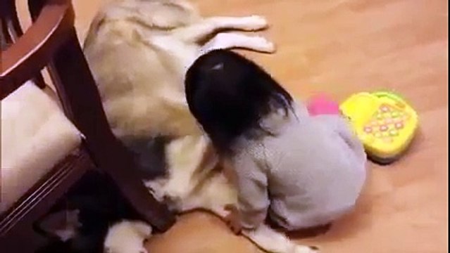 Маленькая Девочка и Хаски