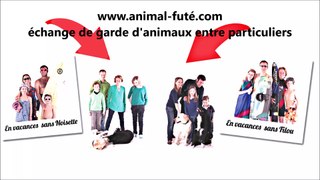 Garde de chien entre particuliers à Nantes, Caroline témoigne de ses échanges Animal Futé