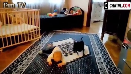 Смешные дети и животные