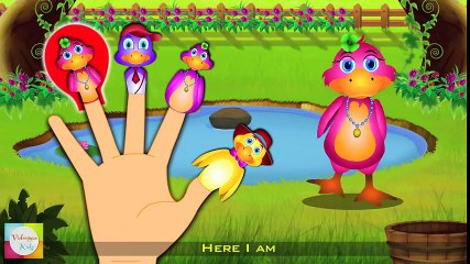 Duck Finger Family   Cat Finger Family   Dog Finger Family and More